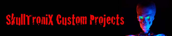 SkullTroniX Custom Projects